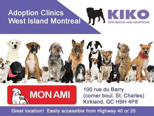 Adoption Clinics at Mon Ami