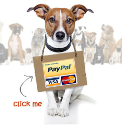 donate to Kiko Dog Rescue
